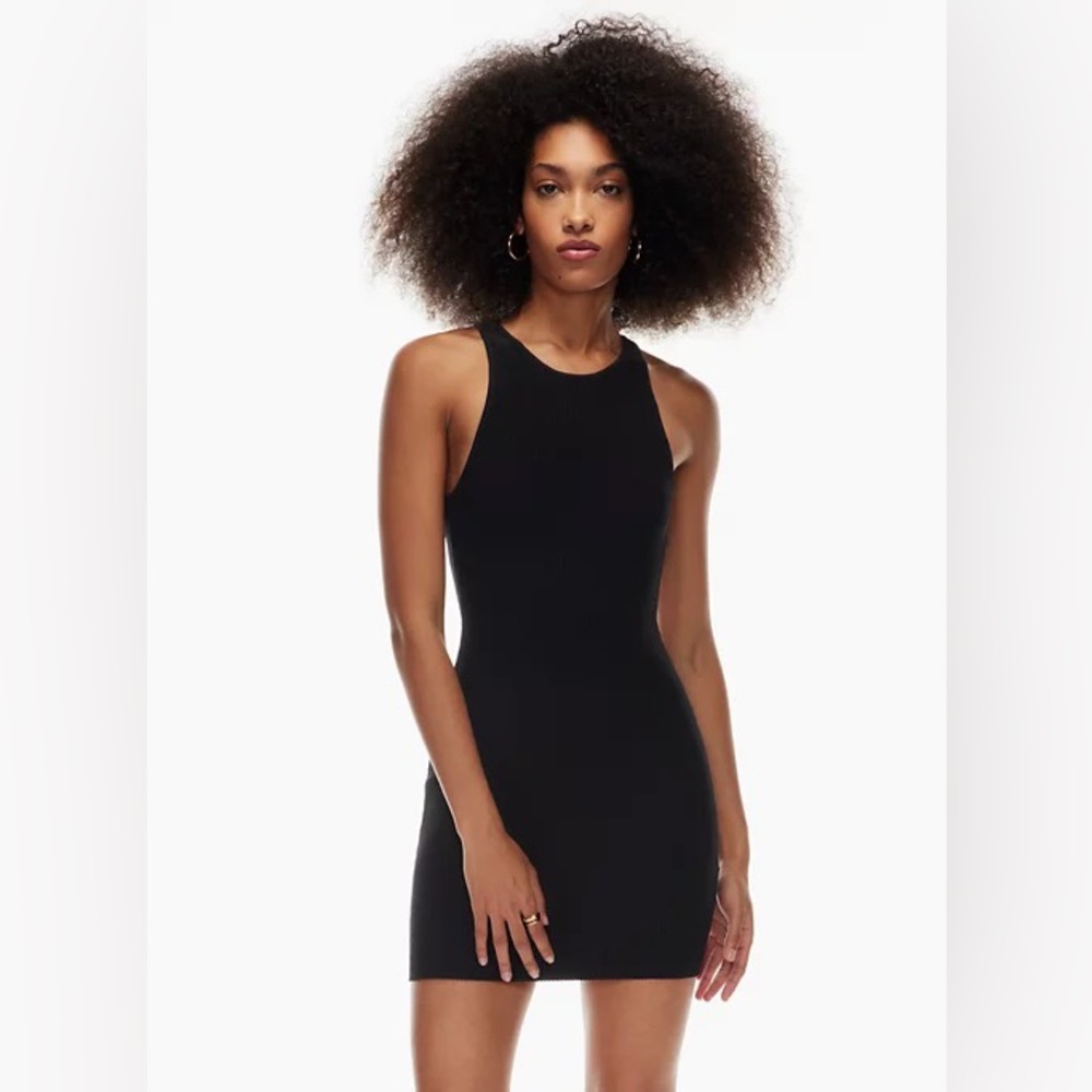 Aritzia - Winslet Dress (Colour is the last picture)